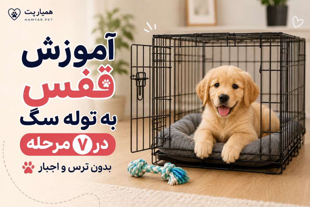 آموزش قفس به توله سگ