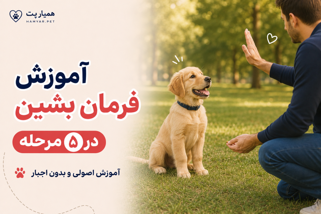 آموزش فرمان بشین به سگ