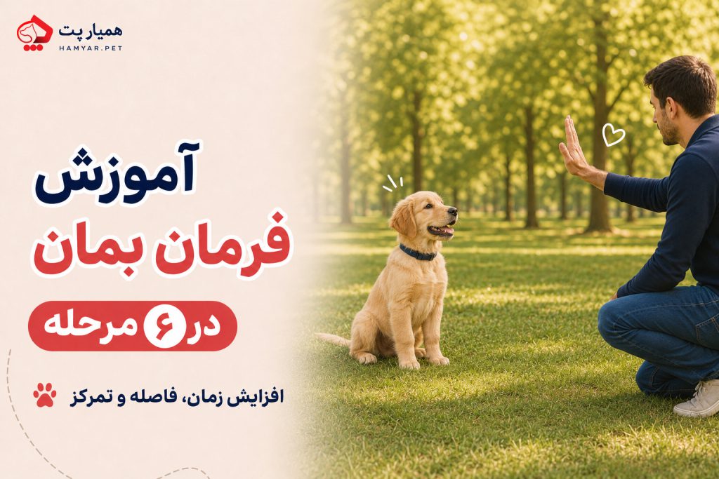 آموزش فرمان بمان به سگ